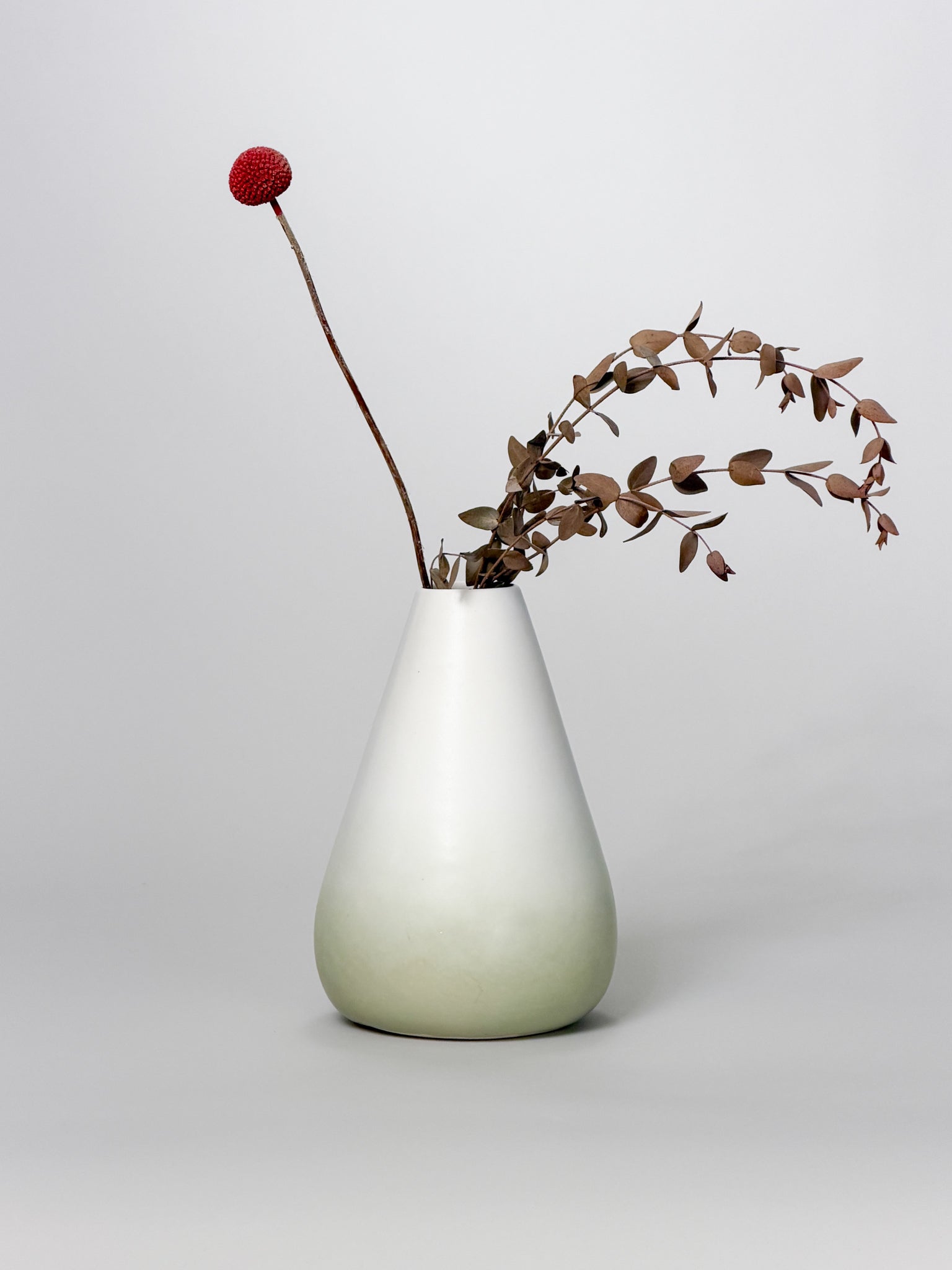 Cone Vase, Gradient (Preorder)