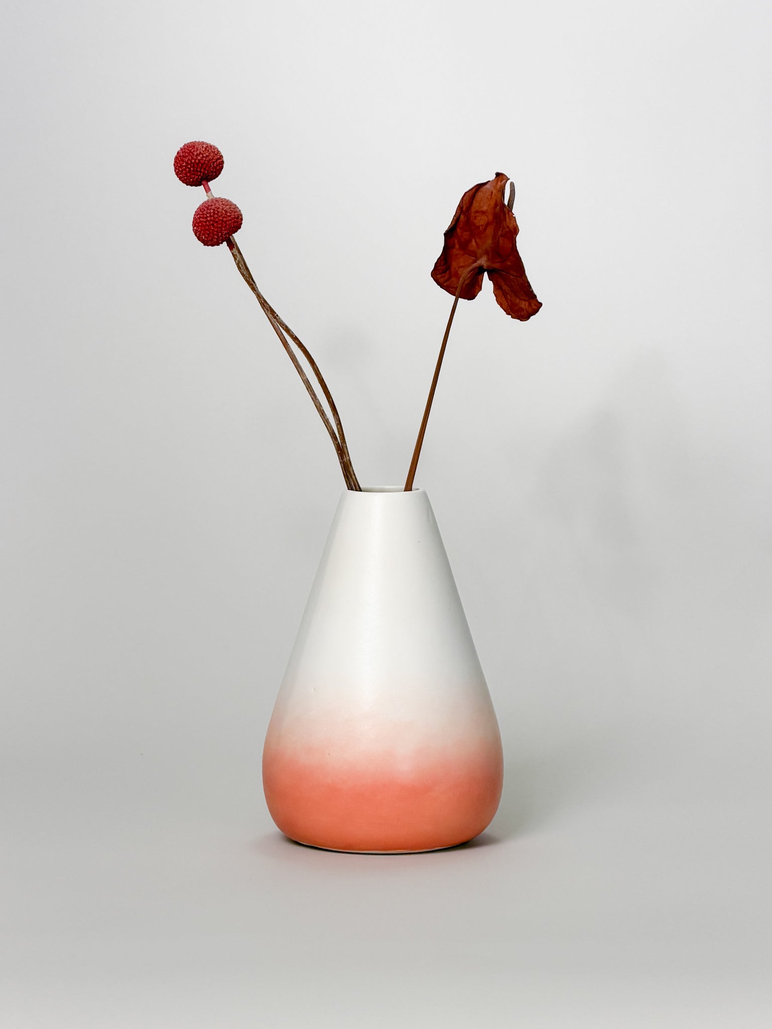 Cone Vase, Gradient (Preorder)
